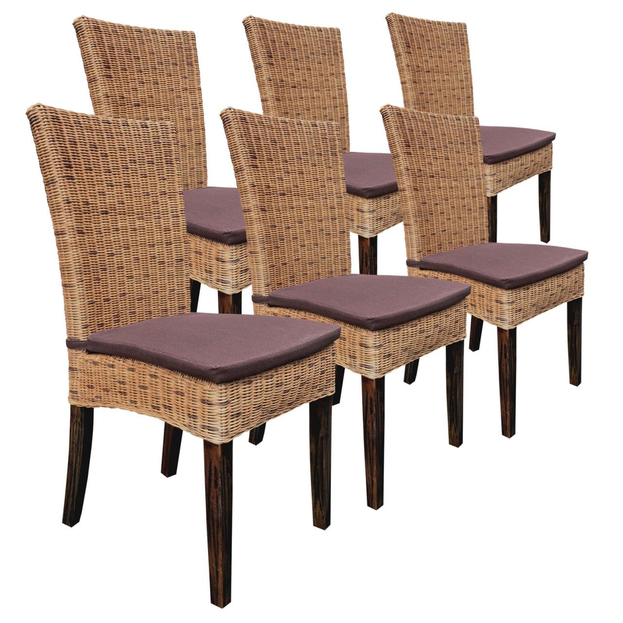 Esszimmer Stühle Set 6 Stück Rattanstühle Wintergarten Korbstühle Cardine cabana mit Sitzkissen